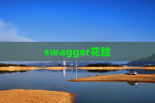 swagger花脸 swagger花脸